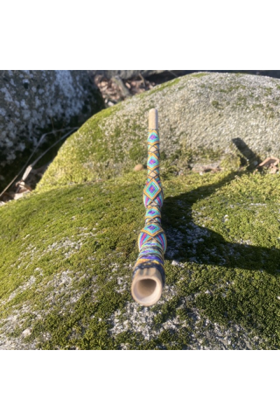 TEPI bunt aus Mexiko Bild für TEPI bunt aus Mexiko